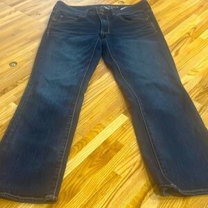 American Eagle Artist Crop Jeans